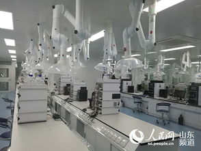 山東羅欣制藥 以創(chuàng)新為翼，打破國(guó)外壟斷，引領(lǐng)醫(yī)藥研發(fā)與國(guó)際水平同步前行