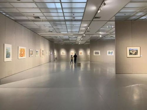 假期收官日 景區(qū)預約熱度不減，返程高峰與文化服務(wù)雙重奏